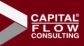 capitalflowconsulting.com